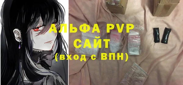 ГАЛЛЮЦИНОГЕННЫЕ ГРИБЫ Белокуриха