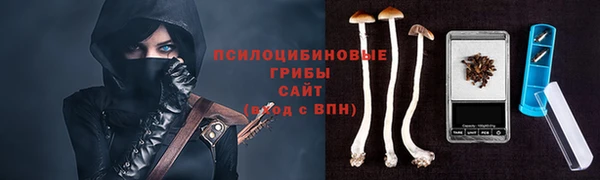 дмт Беломорск