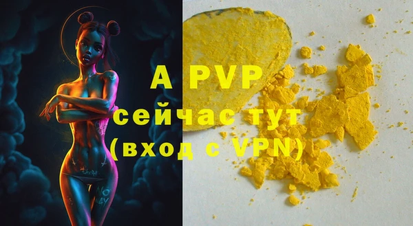 ГАЛЛЮЦИНОГЕННЫЕ ГРИБЫ Белокуриха