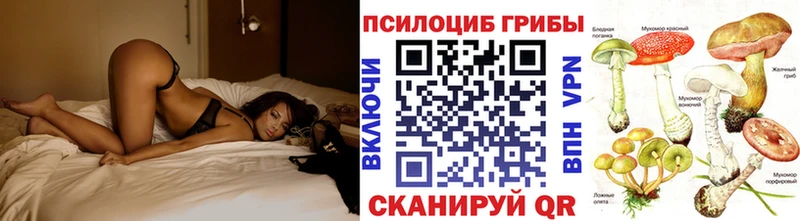 Псилоцибиновые грибы Cubensis  Кушва 